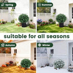 enven set of 2 artificial boxwood topiary trees, view 9