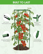 tomato cages,square tomato plant stakes support cages trellis, package contents