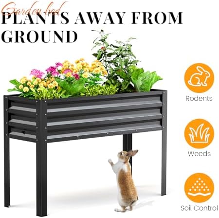 king bird raised garden bed with legs & showing dimensions