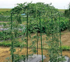 Green Polypropylene Garden Trellis Netting 6.5x100 ft, Heavy Duty Plant Support Net for Climbing Vegetables, Fruits & Flowers