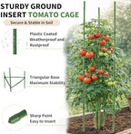 g-leaf 6 pack 6ft tomato cage for garden, side view