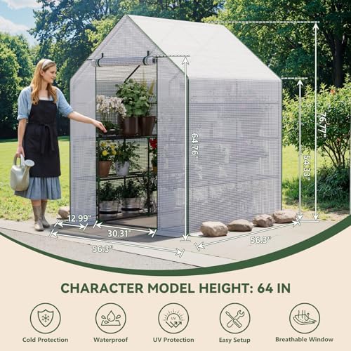 small greenhouse for outdoors, walk-in plant greenhouse with shown in use