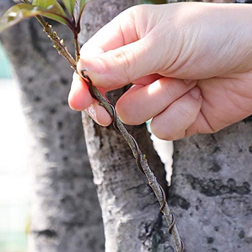 Wazakura Japanese Bonsai Training Wire, Brown Anodized Coating Aluminum Made in Japan 150g (Brown, 1.5mm)