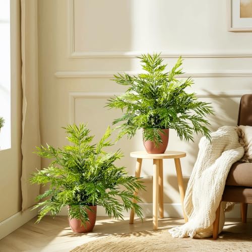artificial fern plants in pots artificial boston ferns shown in use