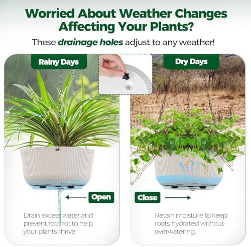 t4u hanging planters for indoor outdoor, 12 inch showing dimensions