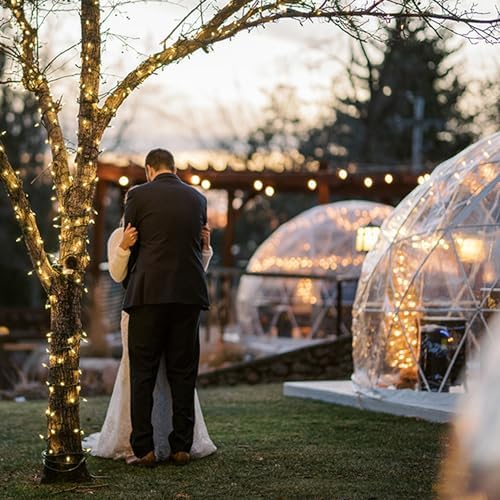 garden dome 12ft clear tent outdoor for garden on a desk or shelf