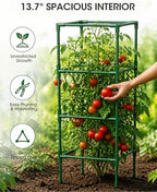 tomato cages,square tomato plant stakes support cages trellis showing dimensions