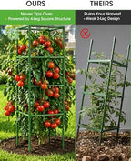 tomato cages,square tomato plant stakes support cages trellis shown in use
