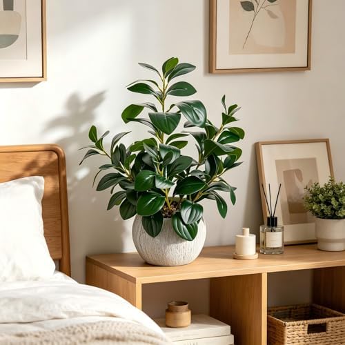 alphaacc 17" artificial ficus cement pot home kitchen, package contents