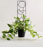 Plant Trellis for Climbing Plants Indoor, 15.94Inch Small Garden Metal Houseplant Trellis for Potted Plants Outdoor with 4 Patterns for Vine Ivy Flower Plant Support Lover Gifts Lattice