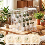 clear mini greenhouse indoor, tabletop portable greenhouse with, side view