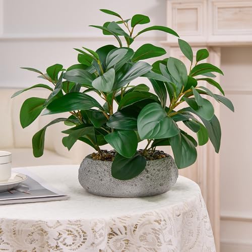 k&y realistic artificial potted plants olive wild fern shown in use
