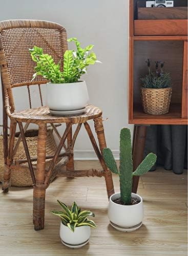 le tauci ceramic plant pots, 4.1+5.1+6.5 inch, set, package contents