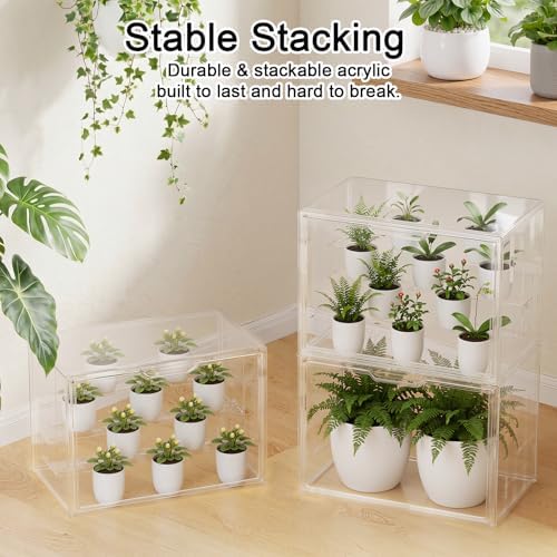 clear mini indoor greenhouse, with hygrometer and grow, package contents