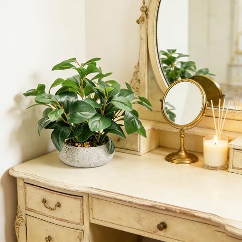 k&y realistic artificial potted plants olive wild fern, package contents