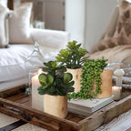 artificial succulents plastic artificial green plant for office, view 9