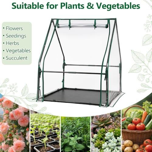 mini greenhouse with waterproof pad, 36" x 36" on a desk or shelf