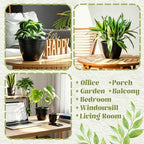 roshtia 24 pcs 6.3 inch plastic hanging pots, package contents