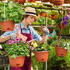 roshtia 20 pcs 10 inch hanging baskets for showing dimensions