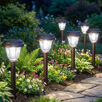 DERAYSION 8 Pack Solar Lights Outdoor Pathway, Stainless Steel Glass Solar Garden Lights, Auto On/Off Long-Lasting Waterproof Outdoor Solar Lights for Yard, Landscape, Path, Driveway, Walkway Décor