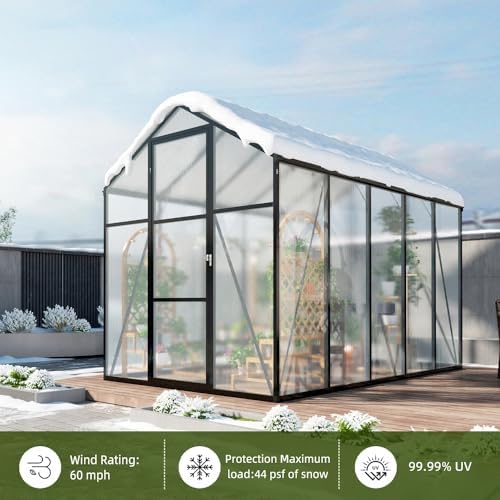 6*8.2ft greenhouse for outdoors,polycarbonate greenhouse with stronger wind showing dimensions