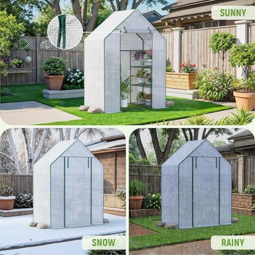 walk in greenhouses, 57 x 29 x 76 on a desk or shelf