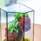 ncyp glass terrarium with front opening door for, package contents