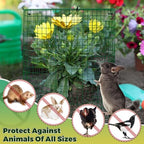 hiboom 6 pack garden plant protectors from animals, side view