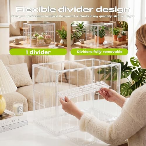 clear mini greenhouse indoor, tabletop portable greenhouse with, close-up detail