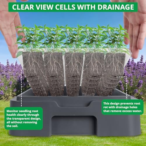 sondiko seed starter tray with grow light, heated showing dimensions
