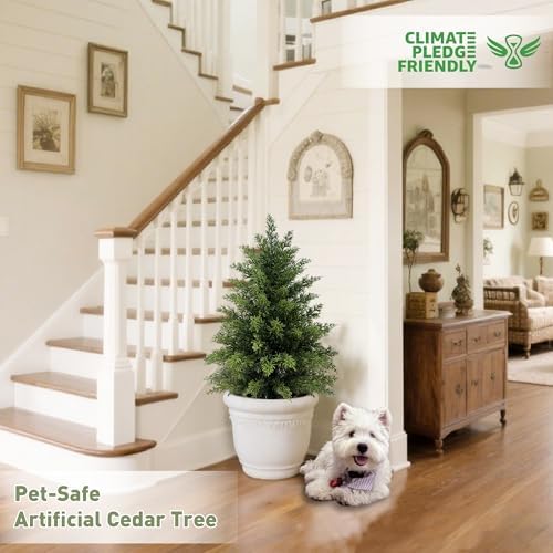mavis's diary 2ft artificial cedar topiary tree, set, side view