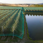 garden netting, 50' x 50' heavy duty bird, front angle view