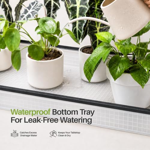2-tier desktop indoor greenhouse with grow light, 11.8x23.6x23.6 showing dimensions