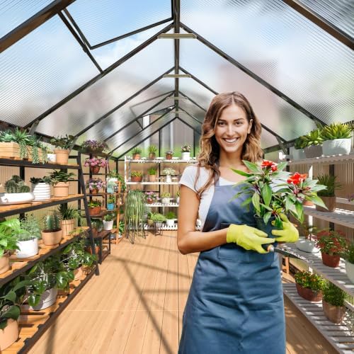 polar aurora 8x12 ft outdoor walk-in polycarbonate greenhouse on a desk or shelf