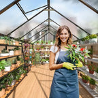 polar aurora 8x12 ft outdoor walk-in polycarbonate greenhouse on a desk or shelf