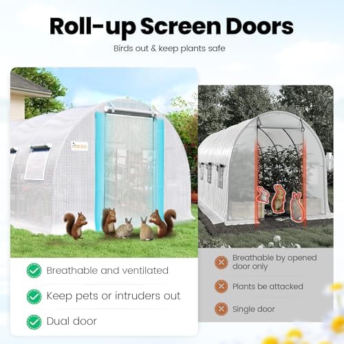 king bird premium 25x10x6.6ft greenhouse for outdoors, large, side view