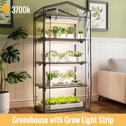 indoor greenhouse with grow light, 4-tier shelf, 26.4x19x61in shown in use