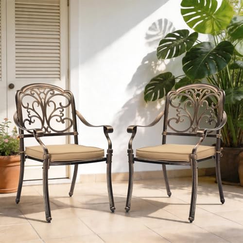 VINGLI Patio Chairs Set of 2 - Stackable Outdoor Cast Aluminum Dining Chairs with Vintage Bronze Finish and Butterfly Pattern, Metal Armchairs for Poolside, Backyard, Balcony (with Cushion)