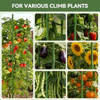 halatool 4 pack tomato cages for garden, up, view 9