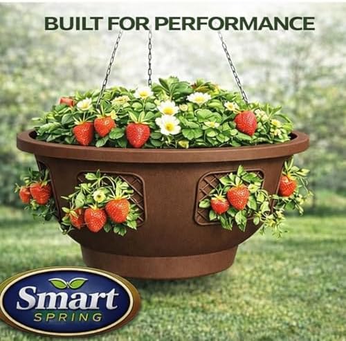 ultimate hanging baskets - strawberry, tomato, flower, and, package contents