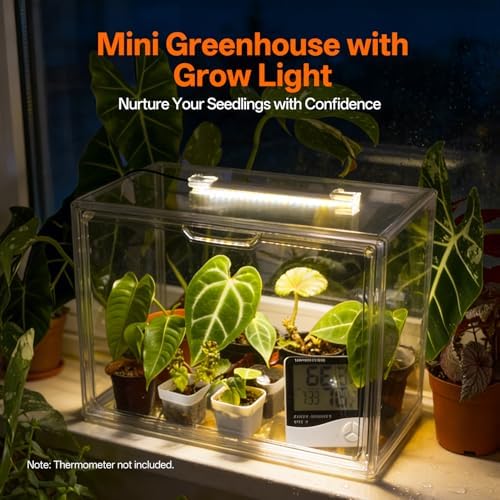 bstrip small tabletop greenhouse with grow light, indoor shown in use