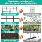 2packs 17 x 42 inch garden trellis for shown in use