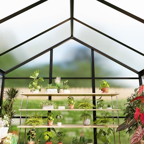 garvee 6 x 10 ft greenhouse, greenhouses for, front angle view