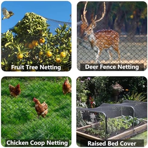 poyee 50x50ft bird netting, 1 inch mesh, heavy on a desk or shelf