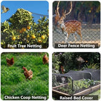 poyee 25x50ft bird netting, 1 inch mesh, heavy on a desk or shelf