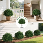 yangrass 23" set of 2 artificial cypress topiary, side view