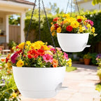 12 inch hanging baskets 2 pc with chains on a desk or shelf