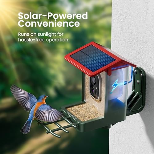 smart bird feeder with camera solar powered, 2k, side view