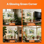 bstrip small tabletop greenhouse with grow light, indoor showing dimensions
