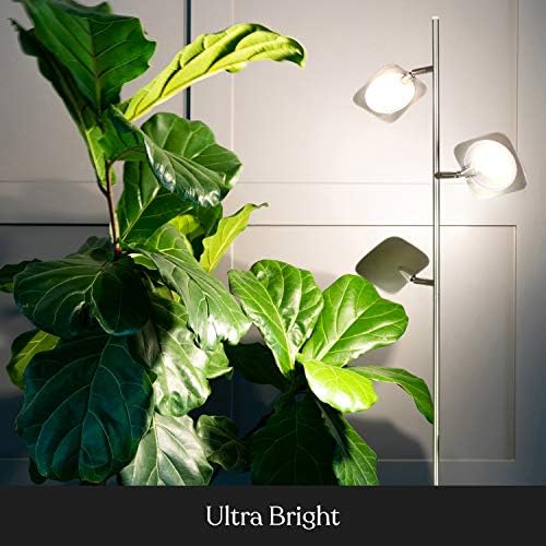 brightech tree floor lamp for living rooms &, front angle view